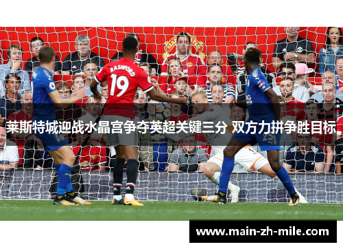 莱斯特城迎战水晶宫争夺英超关键三分 双方力拼争胜目标 莱斯特城迎战水晶宫争夺英超关键三分 双方力拼争胜目标