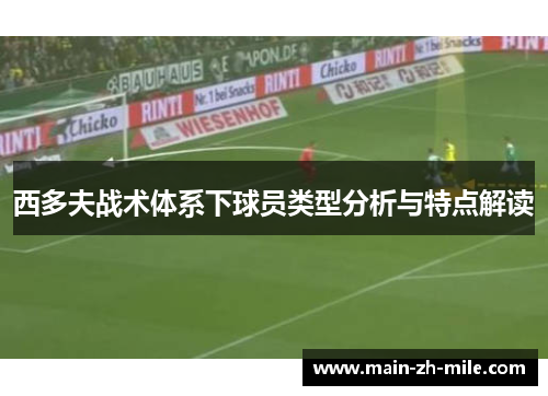 西多夫战术体系下球员类型分析与特点解读