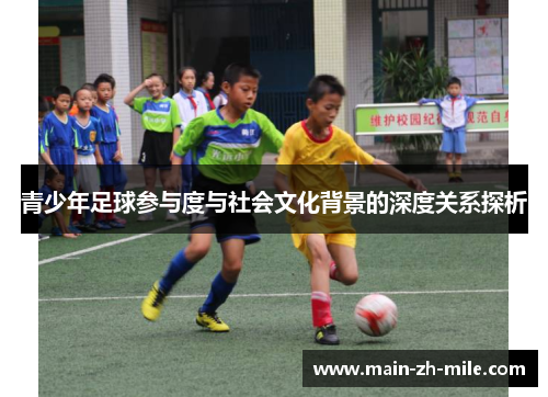 青少年足球参与度与社会文化背景的深度关系探析 青少年足球参与度与社会文化背景的深度关系探析