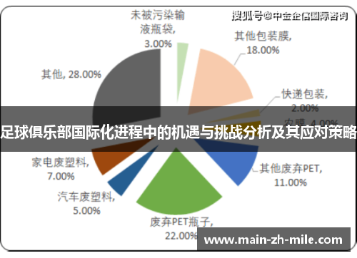 足球俱乐部国际化进程中的机遇与挑战分析及其应对策略