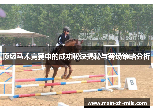 顶级马术竞赛中的成功秘诀揭秘与赛场策略分析